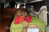 Techie Prabhas mortal remains brought to city; taken to hometown Amtoor